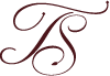 TS logo